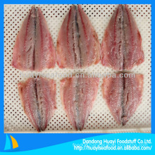iqf frozen pacific mackerel fillet